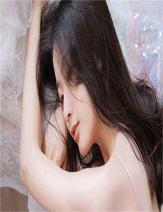 《色诱同志社区-变形金刚之汽车人战记》